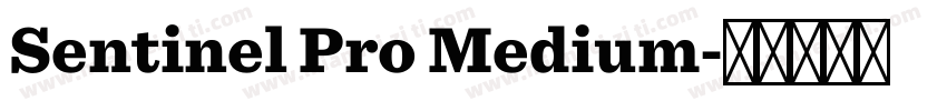 Sentinel Pro Medium字体转换